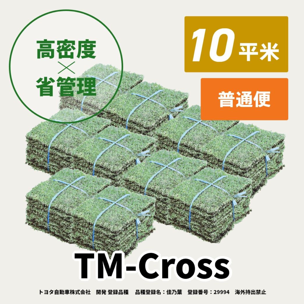 TM-Cross(10平米)【普通便/送料込】