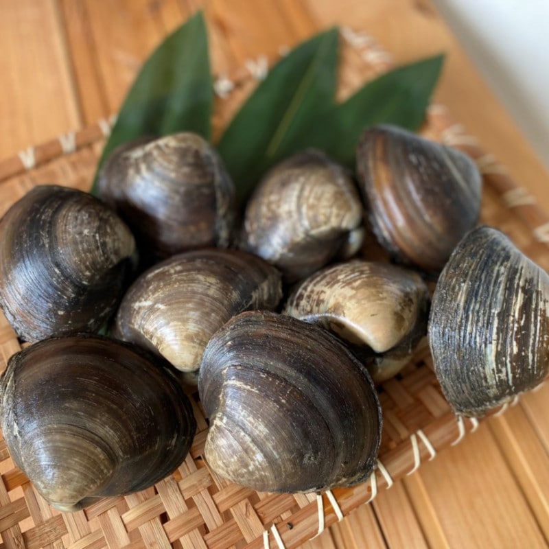 ��������ľ������ǯ��Ϥޤ�ޤ����ھ�ʡ�ݡ۹��ͤȤ줿����̡���ۥå�������[��¢ȯ��]��Ʊ���Բġʤ��줾��������������ޤ��ˡ�