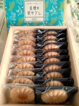 �����ղۻ�Ź�۲֥��֥�10�ġ��֥��֥쥷�祳��10�ġ��ͤ��碌 [�ﲹȯ��]