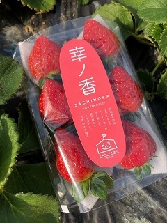 まもなく終売☆さらに特価！】人気の2パック入り♪こだわりの土耕栽培