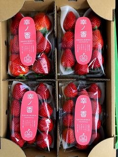 �ڤ�����ϣ��ѥå�������۴Ť���ǻ�����Τʤ�����ڹ̺��ݢ���̾��ԥե���ե�����ʤȤ�ۤ�����ɸ��Τ������ɡֹ��ι��  ���ѥå��������¢ȯ����