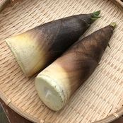 �ڸ���10Ȣ!!�۽դ�������̣��ī���������ޤ��֤䤷�ޤ�פ���εܾ븩��ī���꥿���Υ�����¢ȯ����