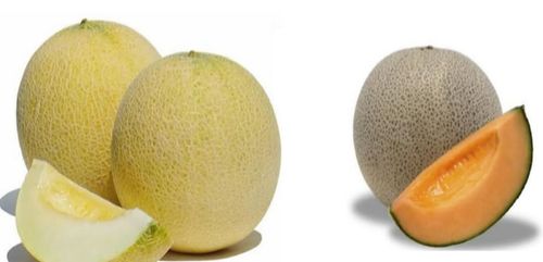 8о졪ڲѣۥ֥ࡼ饤ȡף̡֥Υף̿٥åȢףʲȢʤ