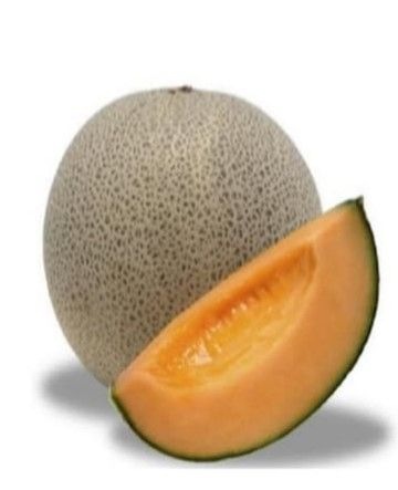 8о졪ڲѣۥ֥Υ1ꡡ̤ǤʲȢʤ