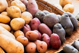 ڼѹˡ֤ۡȤȪפ̵ݡ㤬⿩٥åȡۿȯ䡪֤ʤΤ򾯤Ťġåȡסʳ5004 [ﲹȯ]