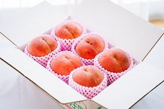 本日ラスト　新品 classindancewear クラスイン  P ピンク　花 SL16347-PK｜LaVenie Collection カラードレス｜ウェディング