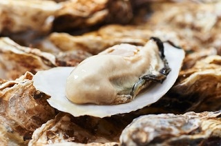 �ڽ��о���̺Ҥ�ۤ��Ƥ����������ڡ�ͽ�󳫻ϡ��ܾ븩�쾾��ԡڸ�ƣ�建�ۤ����� �������ð������ư�Ƥޤ��� ���������ڡײ�Ǯ�Ѥभ�ȥѥå�500g������¢���������ء�