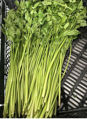 ��ͽ�󳫻ϡ����Ͻե����ȯ����4/2������ˤʤ�ޤ��� �ܾ븩̾��ԡֻ�������פ����� �ڥ�����ۤȸ����Т��������������Ի��ѡ��ܾ븩������300g���ϰ��������̵������