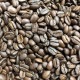 glim coffee roasterۺǯϤޤޤCOLD BREW PACKٿФ ҡХå602
