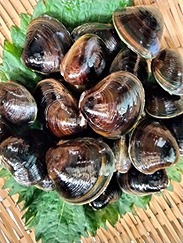 ʤǤ᤺餷γ!!ŷߡγ250g2ޡʡءۡƱԲġ