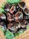 ʤǤ᤺餷γ!!ŷߡγ250g2ޡʡءۡƱԲġ