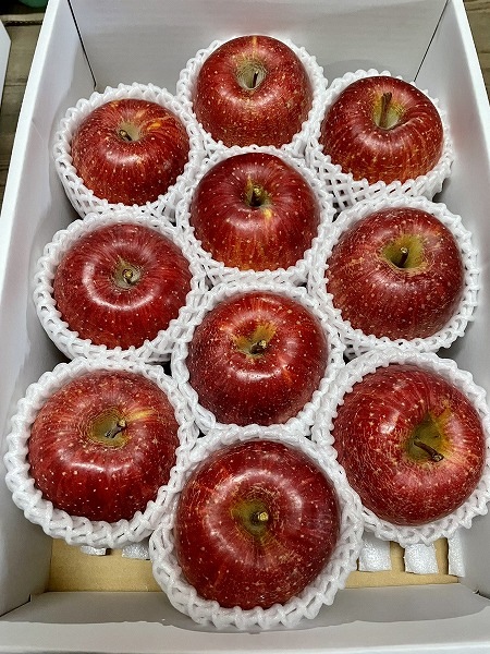 ʿ̼۸10ȢΤߤǤ!!ϸǿ͵δϤ󤴡֤դס12/10缡ȯޤϤǤϰߡ۴Ϥդ 3kg [ﲹȯ]ƱԲġ