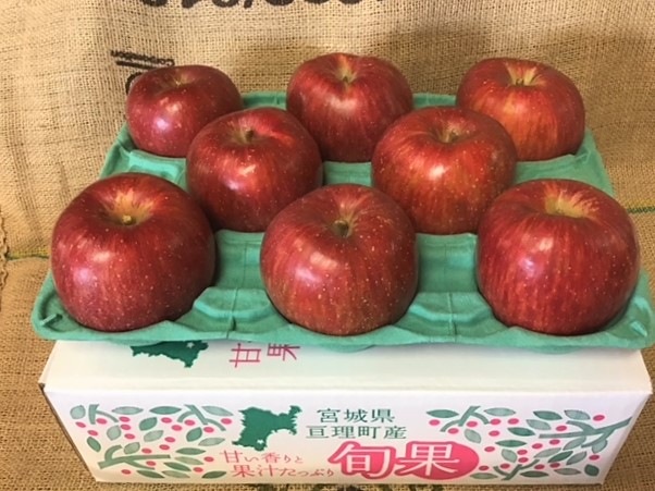 ڷ̼ͽˤƴ顪12/10缡ȯˤʤޤǯϸ10Ȣ!!ϤǤϰߡ۴Ϥ󤴡դ 3kg [ﲹȯ]ƱԲġʤ줾ޤˡ