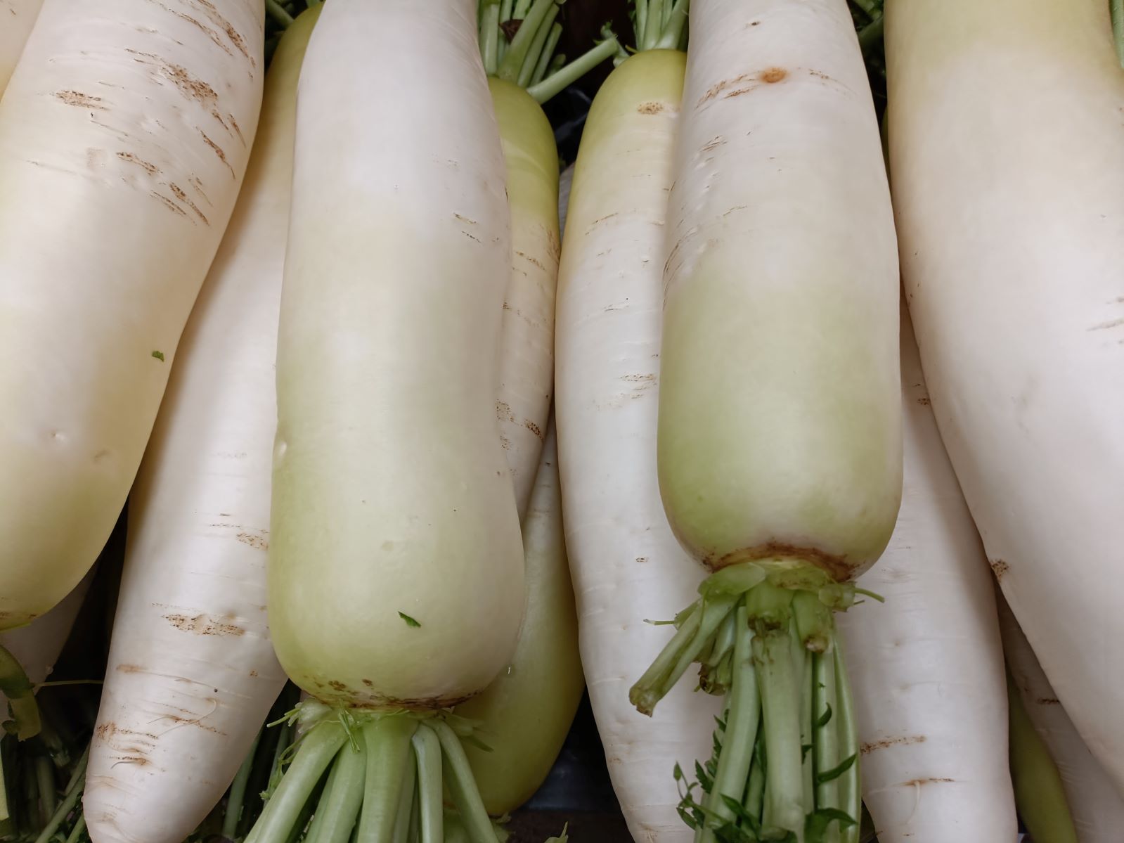 ��12/15�ޤǼ����桪ȯ����12/17�����ָ������ī�Τ���ڤεͤ��碌����������Ϫ�Ϻ��ݤ���ڡ����ԡֺ������Ӷȡפ���Ρ֤���������ڥܥå����סʾﲹ�ء�