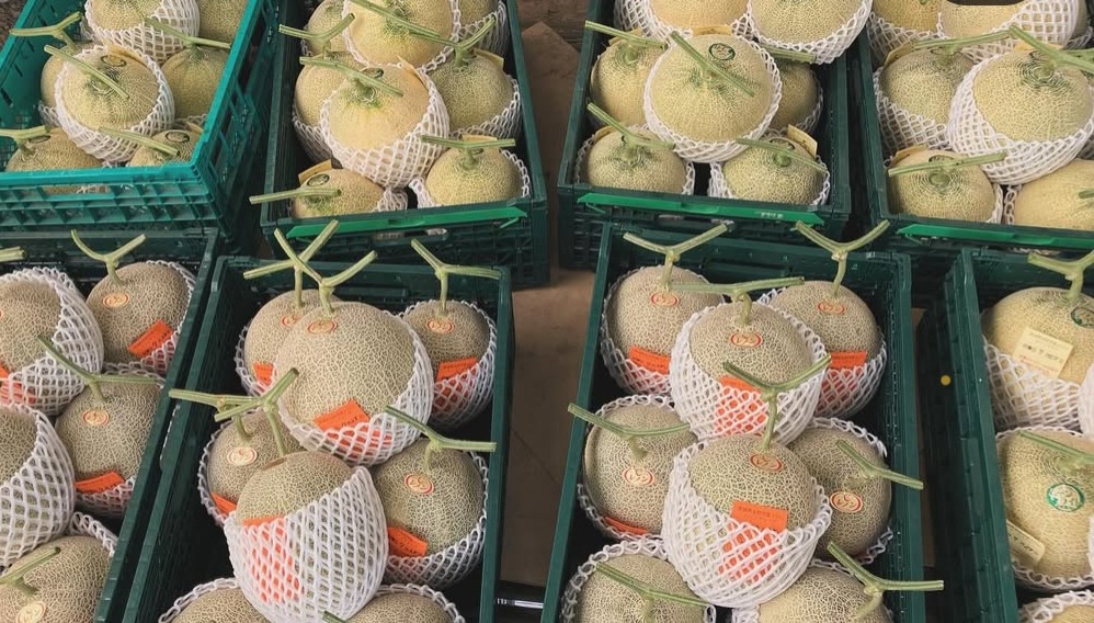��ǻ���ʴŤ�����̤Ǥ��ۥե���ե�����ʤȤꤵ��Υ����֥ࡼ��饤�ȡף������ꢨ�ﲹ�ؤǤ�