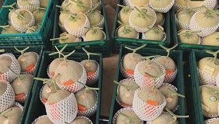 ���礭���Ƥ������۵��������ã������̣�������ۥե���ե�����ʤȤꤵ��Υ����֥ࡼ��饤�ȡ�2�̡��֥�Υ��2�̿�����٥��åȢ����4�����ꡡ���ﲹ��