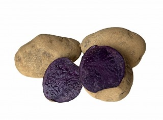 �ڼѹ��������ˡ��֤ۡȤ���������Ȫ�פ���̵�������ݡ����㤬���⿩����٥��åȡۿ�ȯ�䡪�֤�����ʤ�Τ򾯤��Ťġ�������åȡסʳ�500���4��� [�ﲹȯ��]