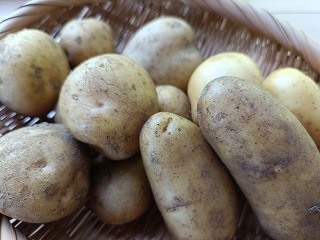 �ڽ��Τ������ᡪ�֤ۡȤ���������Ȫ�פ���̵�������ݡ����㤬���⿩����٥��åȡۿ�ȯ�䡪�֤��ä��꿩�٤��������̥��åȡס�1������2���500���2��� [�ﲹȯ��]