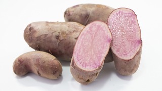 �ڽ��Τ������ᡪ�֤ۡȤ���������Ȫ�פ���̵�������ݡ����㤬���⿩����٥��åȡۿ�ȯ�䡪�֤��ä��꿩�٤��������̥��åȡס�1������2���500���2��� [�ﲹȯ��]