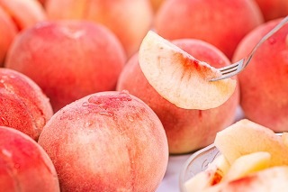 �ϰ��������̵����ʡ�縩��ꡡ�������������ϡ��˾塦�ץ�ߥ�������������Τᤰ�ߡס� ��£���ѡ�����������2�ԡ��󣶶̡ˡھﲹȯ����