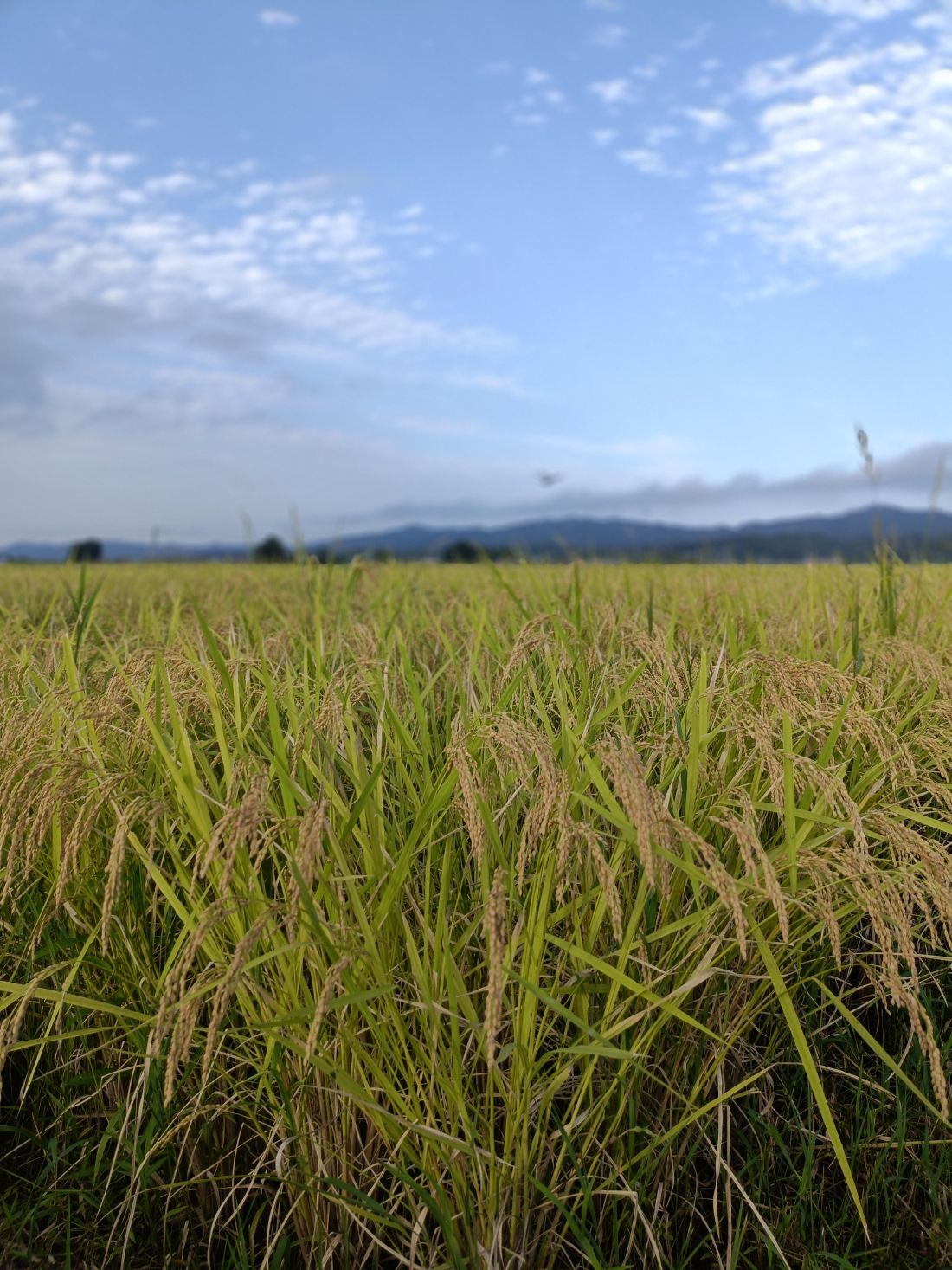 ܾ븩˶񷴴ݿĮפο ֤Ĥɱ10 ϰ̵