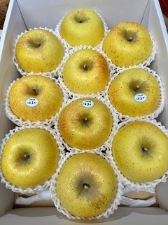 ����ʿ�̼���ۡڴ�����顪�۽��о�������ʼ�δ��Ϥ�󤴡֤Ϥ뤫��3�ԡ�12���������5Ȣ�Τߤθ�������Ǥ����������Ϥ�Ǥ�������������ϰ�����������ߡ� [�ﲹȯ��]