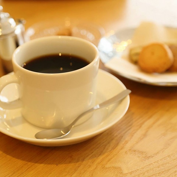 WATALISĮեҡPåPå ھﲹȯ