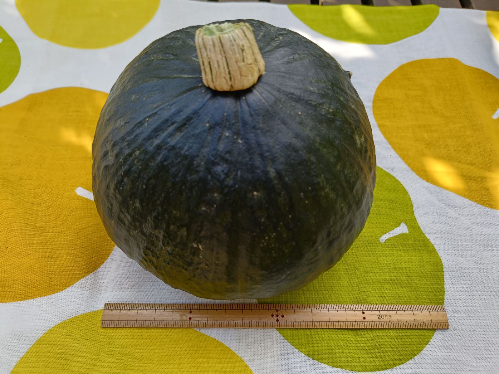 ���߻꤫�ܤ���ˡ��ڤ�䤹�����̤Ǥ����ƻ�Į�����кڱ�ִ��ϡ�̵�������ܤ���ס��ϰ��������̵���ۡ�[�ﲹȯ��]