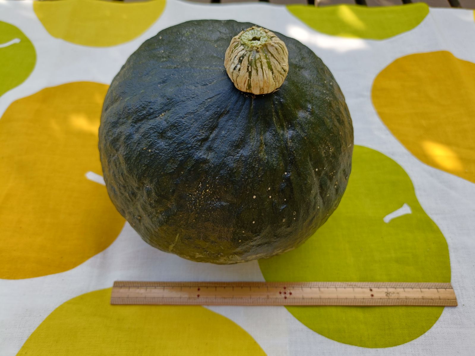 ���߻꤫�ܤ���ˡ��ڤ�䤹�����̤Ǥ����ƻ�Į�����кڱ�ִ��ϡ�̵�������ܤ���ס��ϰ��������̵���ۡ�[�ﲹȯ��]