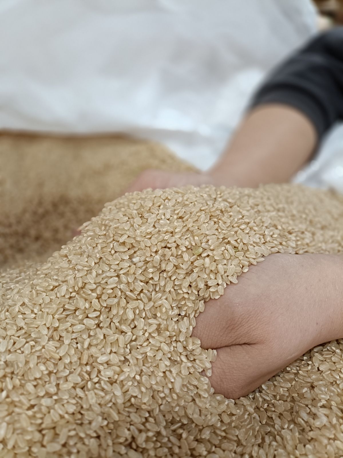 �ڣ����ޤξ����������о���ϰ�����������ߡ����ƻ�Į�����кڱ���������ܾ��ơ�3�￩����٥��åȡסʣ��ԡ�3��ˡ��ϰ��������̵����[�ﲹȯ��]