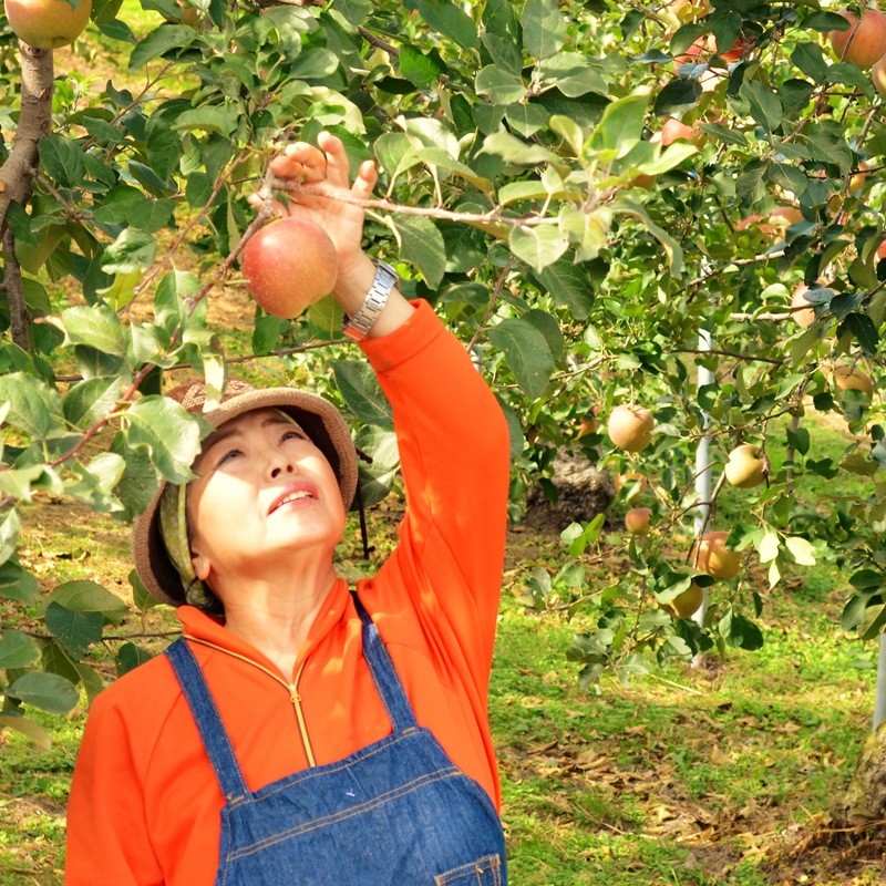 ���ҤȤ��ͤ���10kg�ޤǡ�2024ǯ�����ƤǤ��ޤ������Ķ������ơ��ܾ븩���ҤȤ�ܤ졡����Σ���g�ھﲹȯ��]