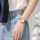 SOLINE ���꡼�� 32mm ��ư���� ��ǥ����� �ӻ��� �ץ٥�� ����С� �֥饦��
