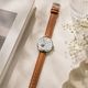 SOLINE ���꡼�� 32mm ��ư���� ��ǥ����� �ӻ��� �ץ٥�� ����С� �֥饦��