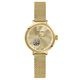 SOLINE ���꡼�� 32mm ��ư���� ��ǥ����� �ӻ��� ��°�٥�� �������