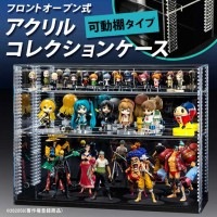 【幅60cm 】 可動棚 フロントオープン式 コレクションケース/クリア/背面ミラー/棚板2枚付