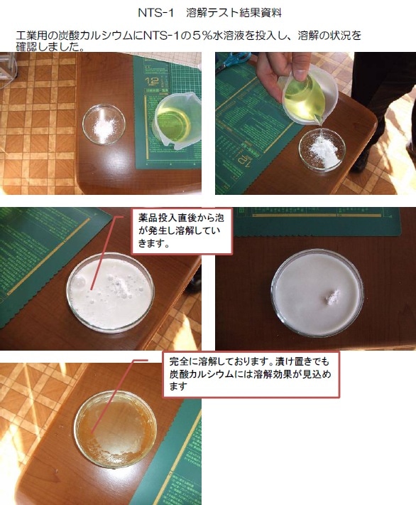 金型温調回路用 有機酸系洗浄剤 NTS-1.55ALP 1kg