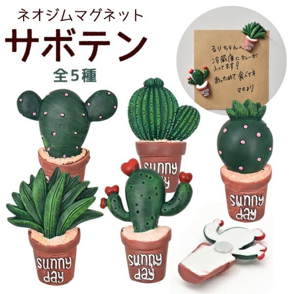 メール便送料無料<br>サボテンマグネット