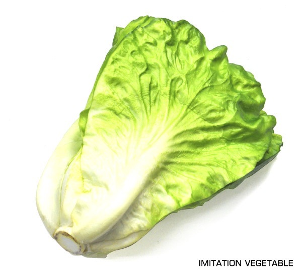 イミテーションベジタブル 白菜