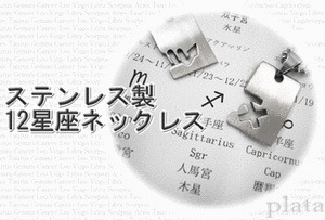 メール便送料無料<br>ステンレス 12星座ネックレス