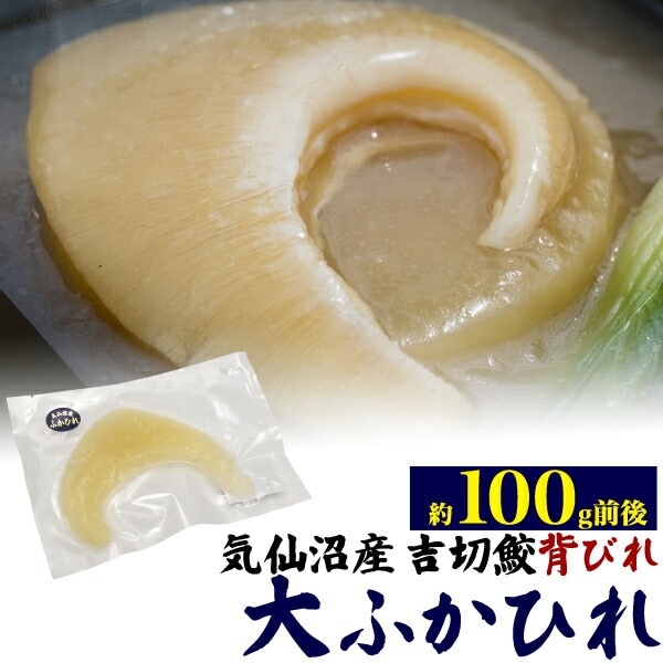 送料無料<br>クール冷凍便発送気仙沼産 吉切鮫ふかひれ背びれ 大サイズ 約100g前後