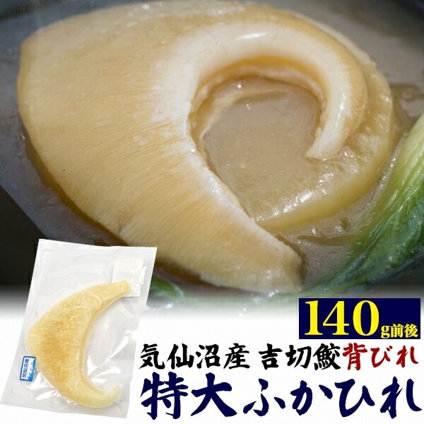 送料無料<br>クール冷凍便発送気仙沼産 吉切鮫ふかひれ背びれ 特大サイズ 約140g前後