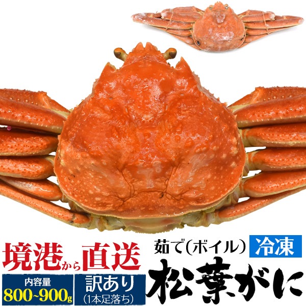 送料無料<br>鳥取県境港から直送 足1本落ち 冷凍松葉ガニ 1杯 約800～900g ボイル済み 茹で