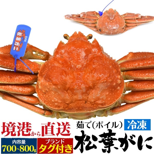 送料無料<br>鳥取県境港から直送ブランドタグ付き 冷凍松葉ガニ 1杯 約700?800g ボイル済み 茹で