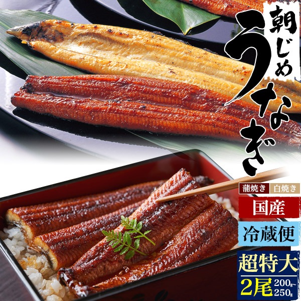 2尾セット■送料無料<br>朝じめうなぎ 蒲焼 白焼き 国産 超特大サイズ 200?250g