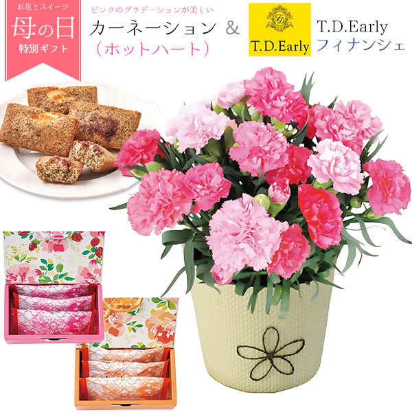送料無料<br>Ｔ．Ｄ．Ｅａｒｌｙ　フィナンシェとカーネーション（ホットハート）