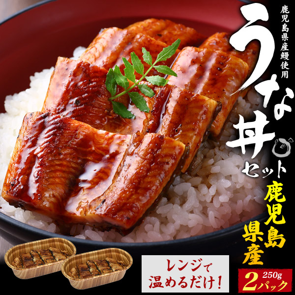 送料無料<br>鹿児島県産うなぎ使用！ 絶品うな丼セット　250g×2パック