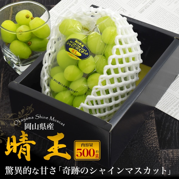 送料無料<br>贈答用　岡山県産シャインマスカット「晴王」 500g