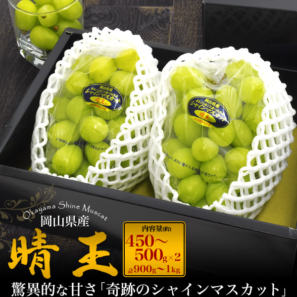 送料無料<br>贈答用　岡山県産シャインマスカット「晴王」 約450g～500g×2　(計900g～1kg)