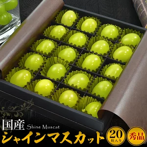 送料無料<br>贈答用　国産シャインマスカット 20粒入りギフトボックスセット