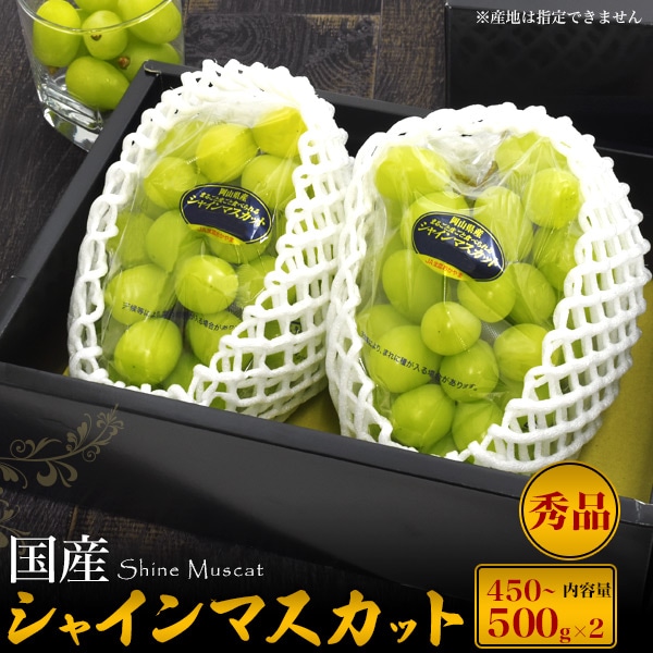 送料無料<br>贈答用　国産シャインマスカット 450～500g×2　(計900g～1kg)